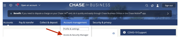 Chaes - Access & Security Manager