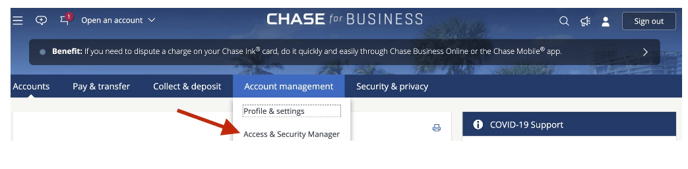 Chaes - Access & Security Manager